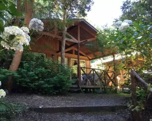 cabanas con tinajas en frutillar bosque patagonico 3