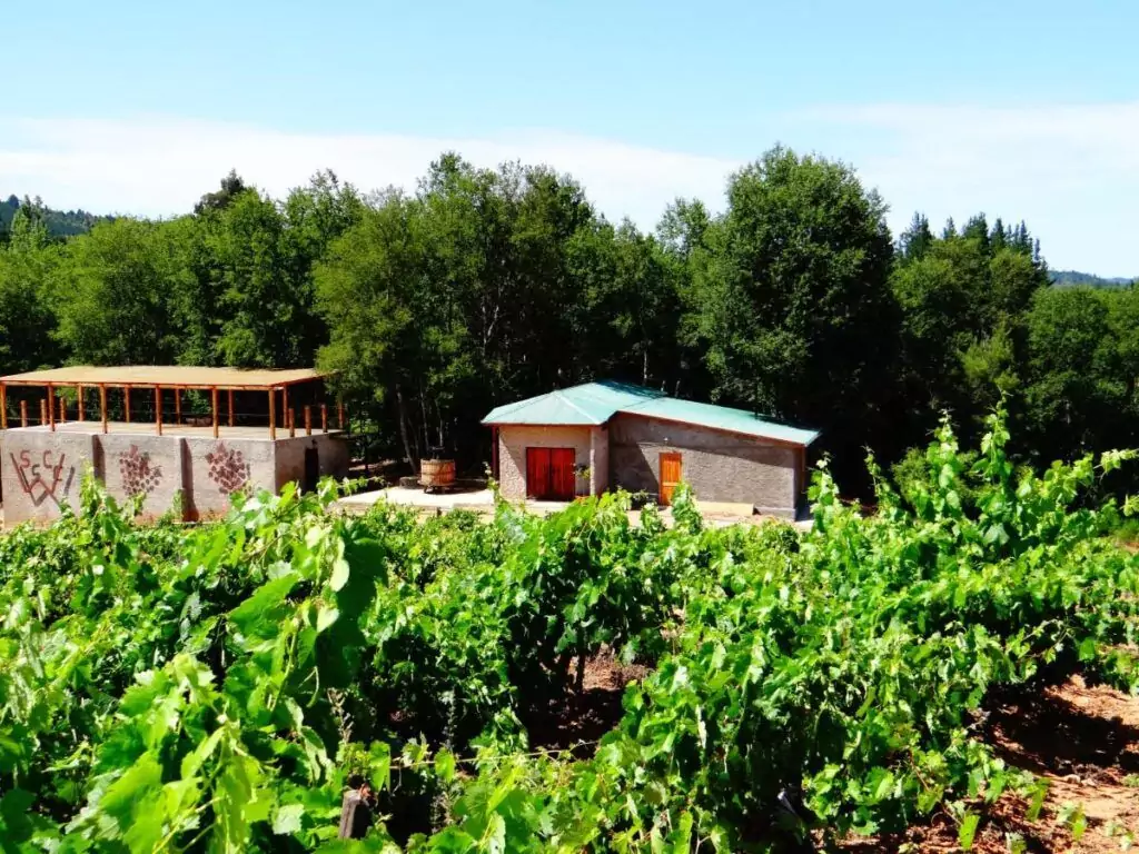 cabanas con tinajas en curanipe vina don heraldo 2