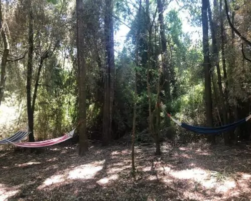 cabanas con tinajas en villarrica trasmahue 3